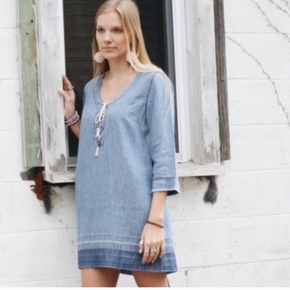 Michael Stars Anthro lace up denim dress